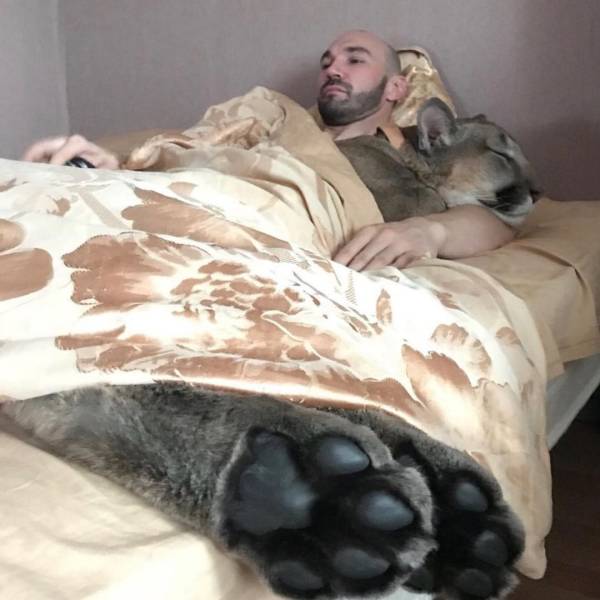 Смешные картинки вечер 14 августа 2020