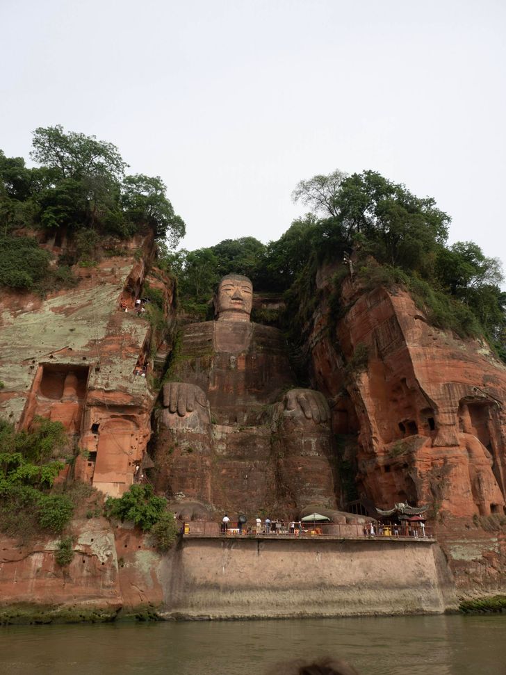 15+ вещей и животных, от реального размера которых глаза на лоб полезут