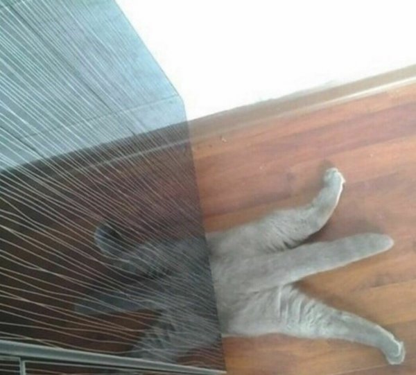 Этих отражений не должно было быть. Всему виной случайность