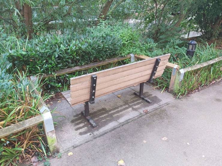 Смешные фото 18 августа 2020