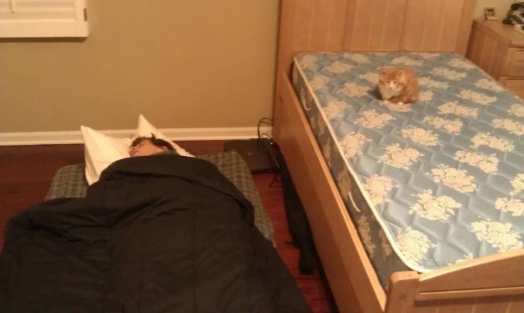 Смешные фото 18 августа 2020