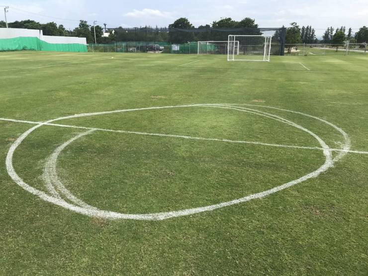 Смешные фото 18 августа 2020