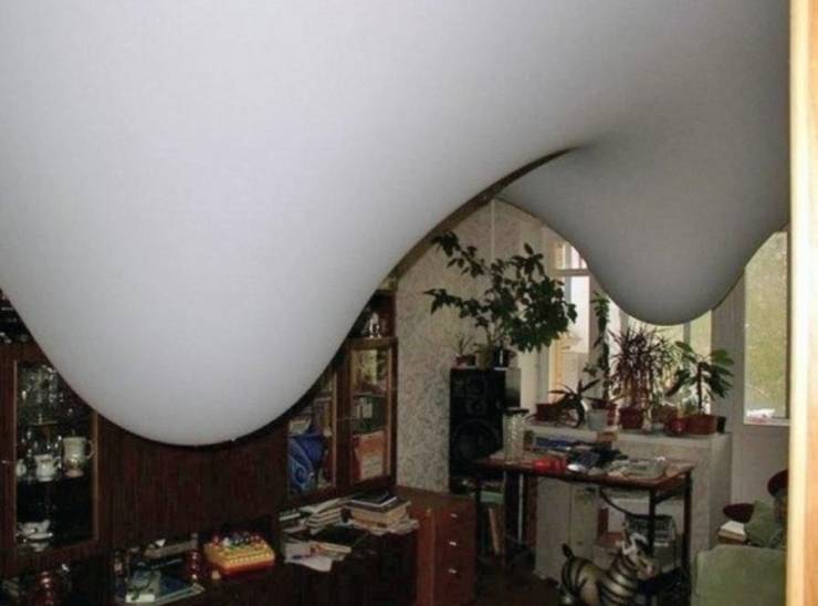 Смешные фото 18 августа 2020