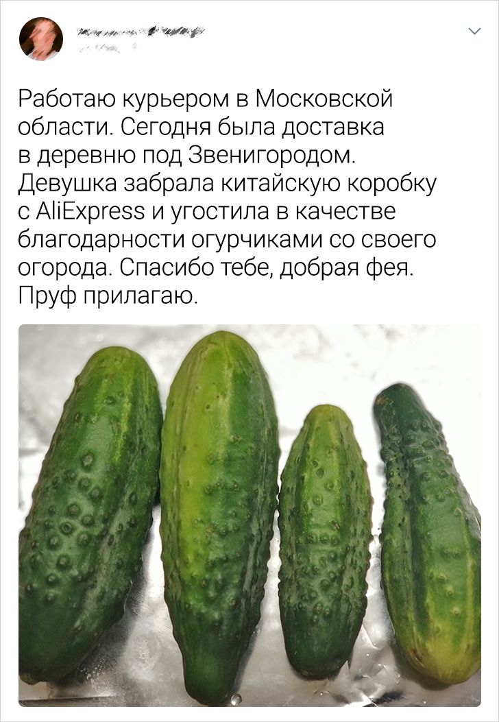 20+ курьерских историй, прочитав которые думаешь: «А я-то в жизни еще неплохо устроился»