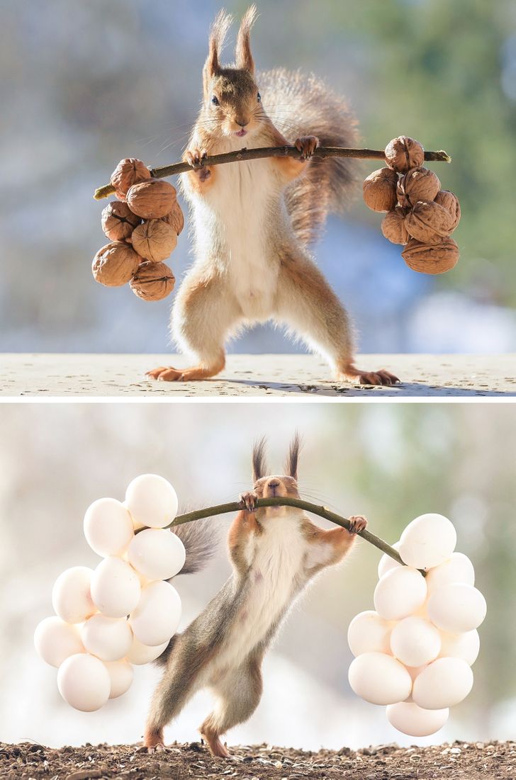 14 представителей животного мира, которые только притворяются лапочками