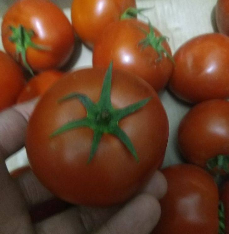 16 обычных действий покупателей, которые неистово раздражают продавцов. А мы об этом даже не подозреваем