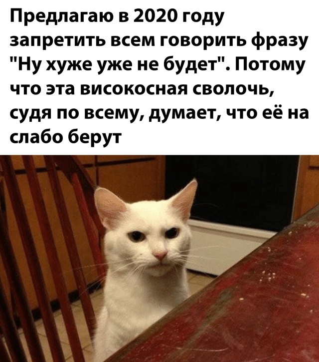 Смешные фото вечер 21 августа 2020