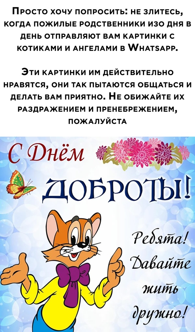 Смешные фото вечер 21 августа 2020