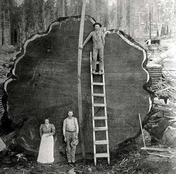 Смешные фото вечер 21 августа 2020