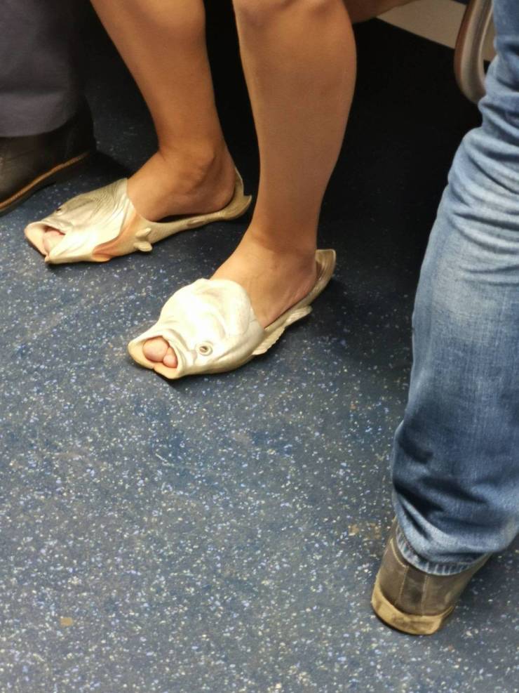 Смешные фото вечер 21 августа 2020