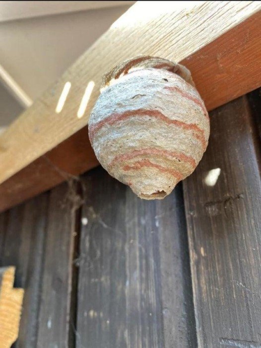 15 снимков, доказывающих, что у природы всегда есть туз в рукаве