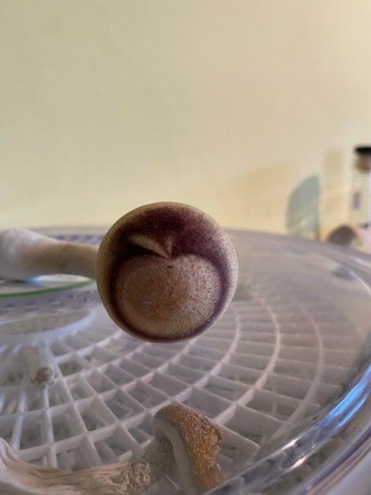 15 снимков, доказывающих, что у природы всегда есть туз в рукаве