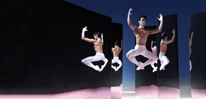 Успех балета в невероятном мастерстве и трудолюбии всех участников.