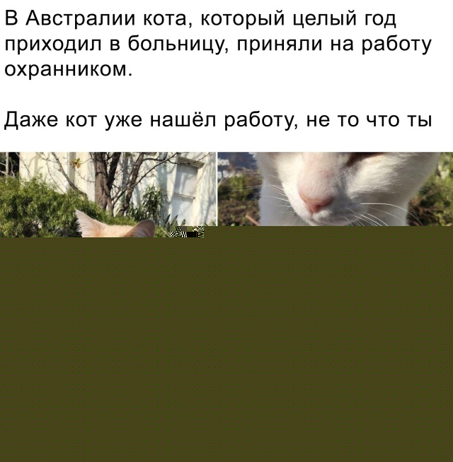 Смешные фото вечер 24 августа 2020