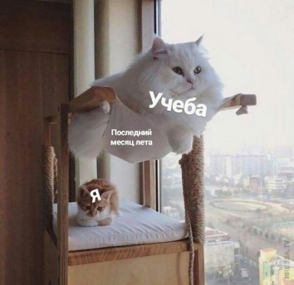 Немного картинок для настроения