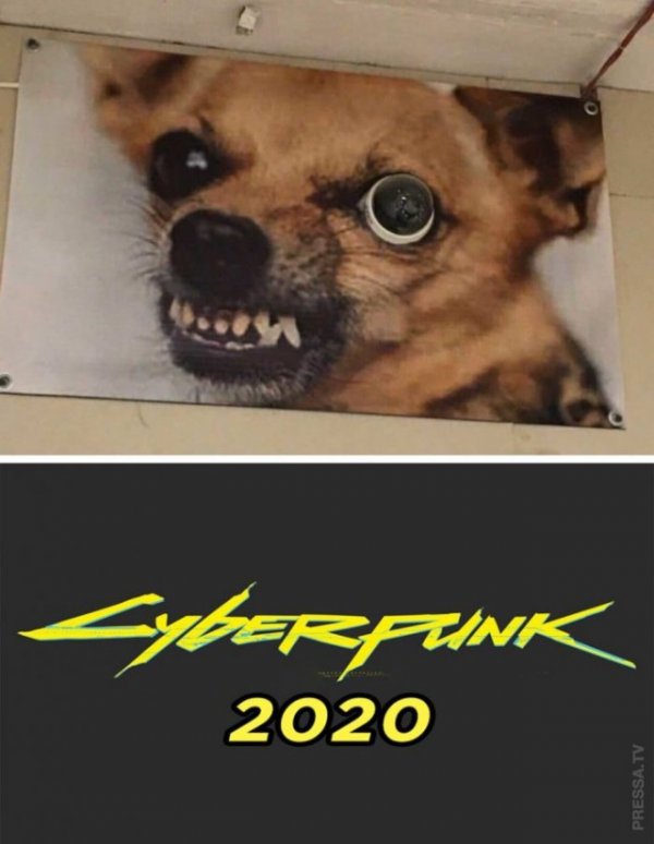 Немного картинок для настроения