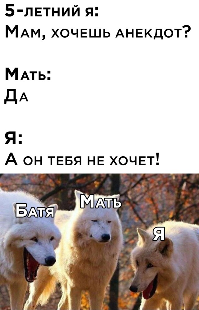 Смешные фото вечер 25 августа 2020