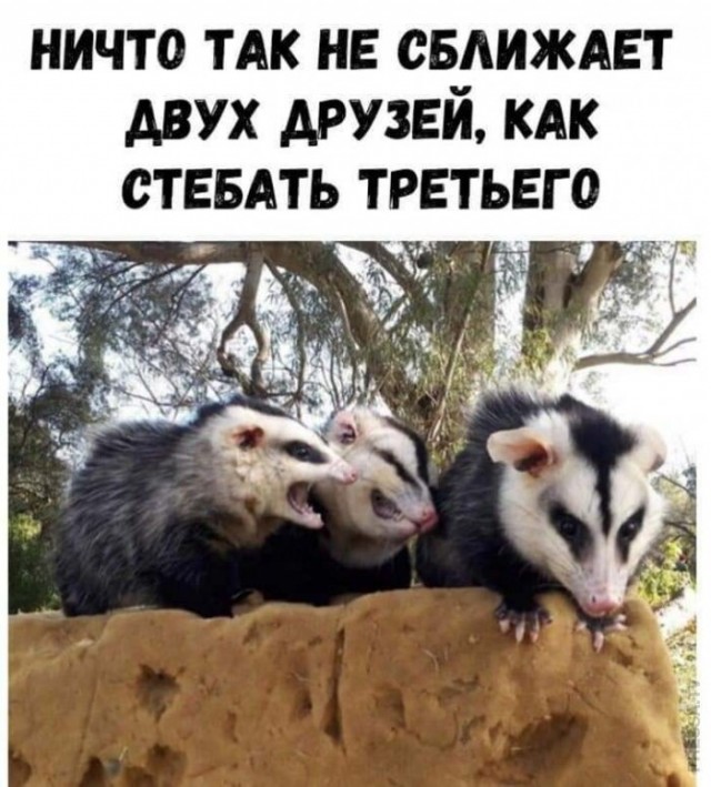 Смешные фото вечер 25 августа 2020
