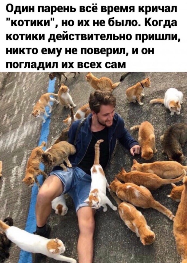 Смешные фото вечер 25 августа 2020