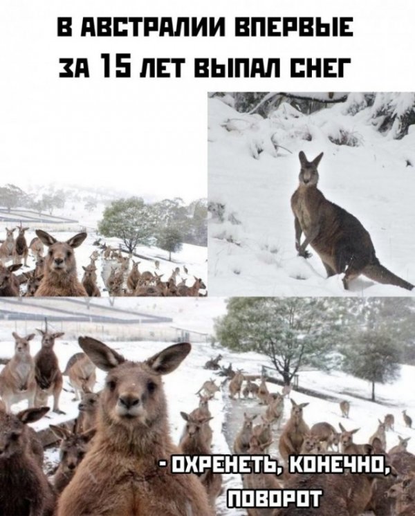 Немного картинок для настроения