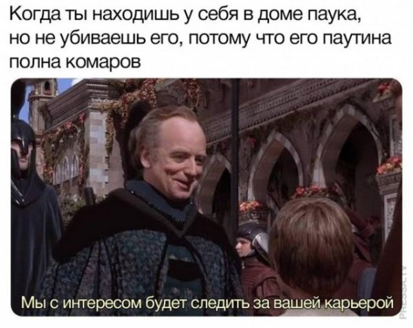 Немного картинок для настроения