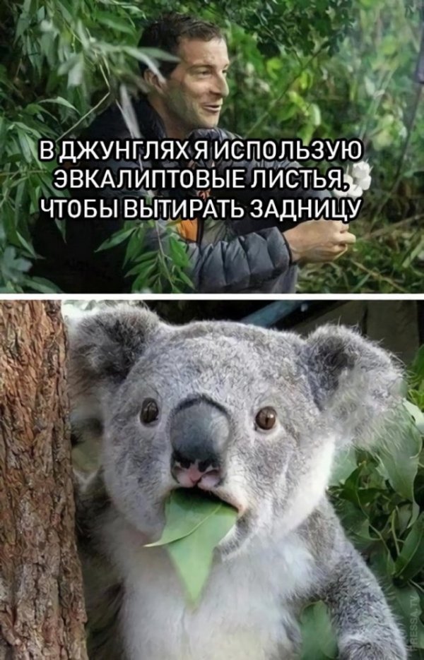 Немного картинок для настроения