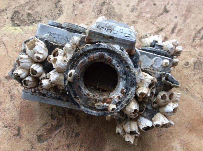 18 наглядных и бескомпромиссных ответов на вопрос из серии «А что произойдет, если…?» 18 наглядных и бескомпромиссных ответов на вопрос из серии «А что произойдет, если…?»