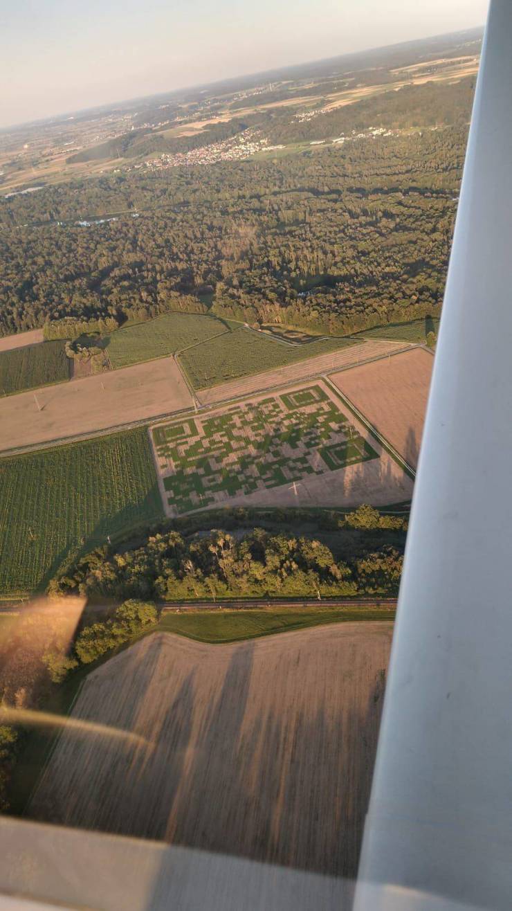 QR-код на зеленом поле