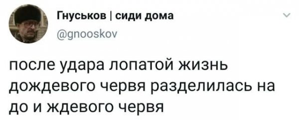 Подборка забавных твитов