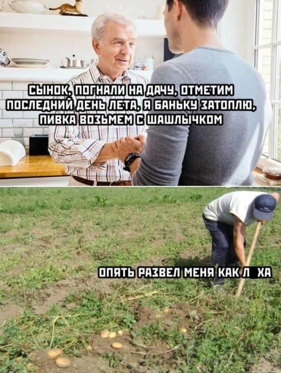Поездка на дачу с отцом