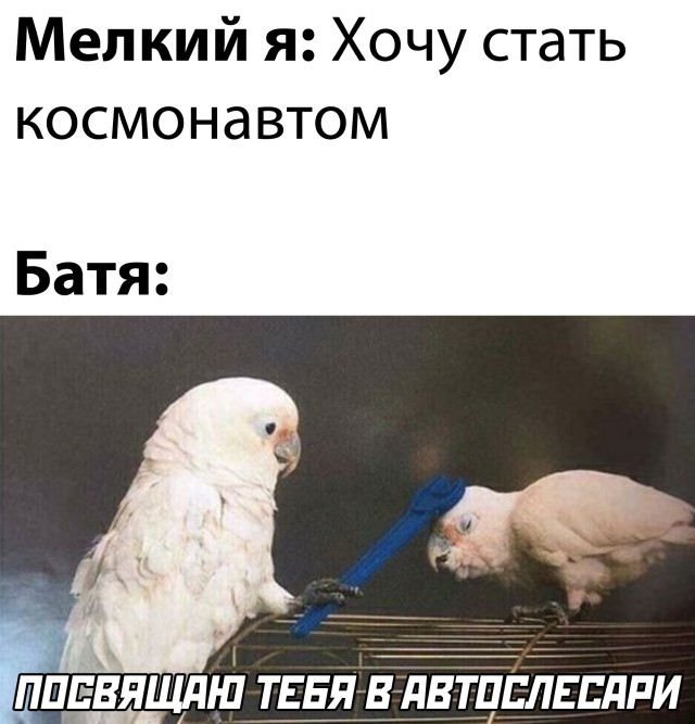 Я хочу стать космонавтом