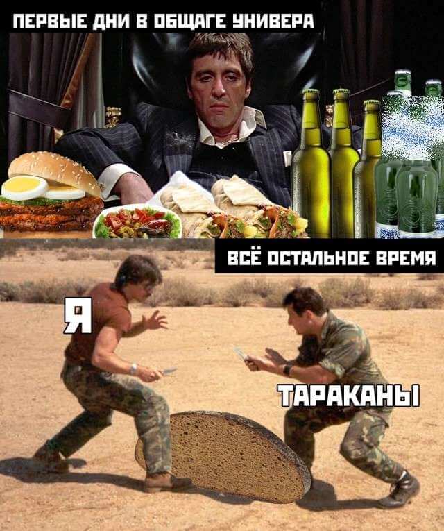 Шутка про общежитие