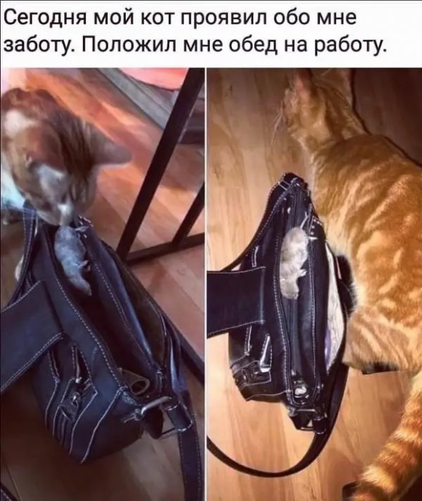 Немного картинок для настроения
