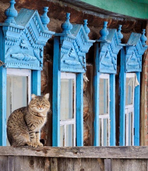 Прикольные и просто красивые картинки