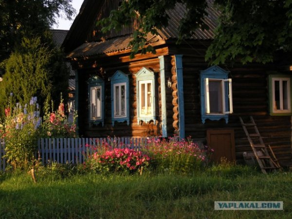 Прикольные и просто красивые картинки