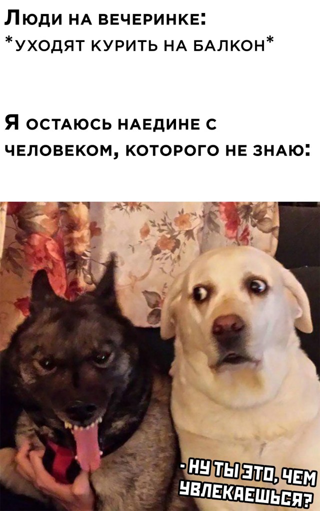 Остался с неизвестным человеком на вечеринке