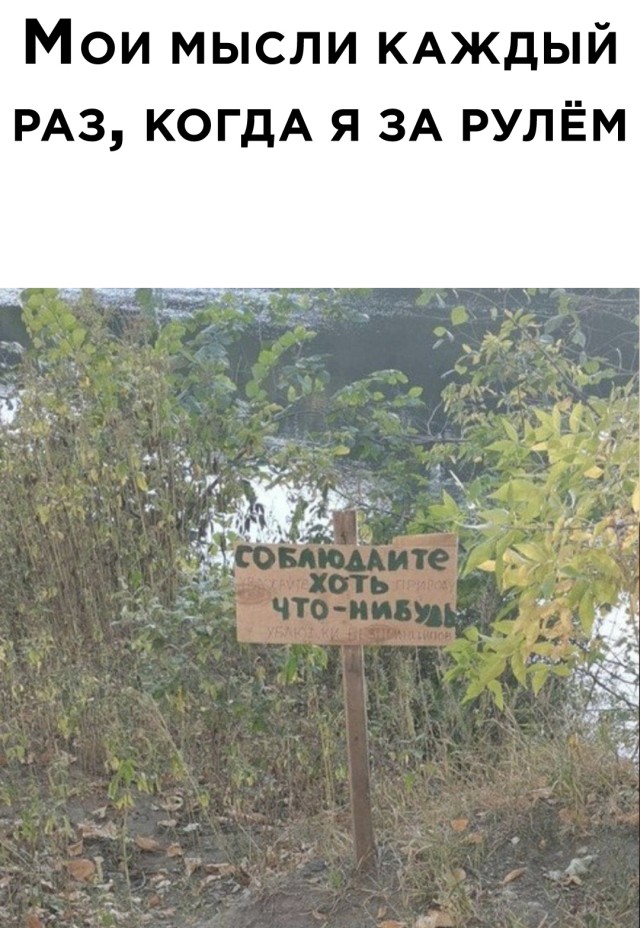 Мысли за рулем