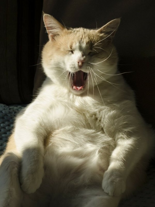 Прикольные и просто красивые картинки