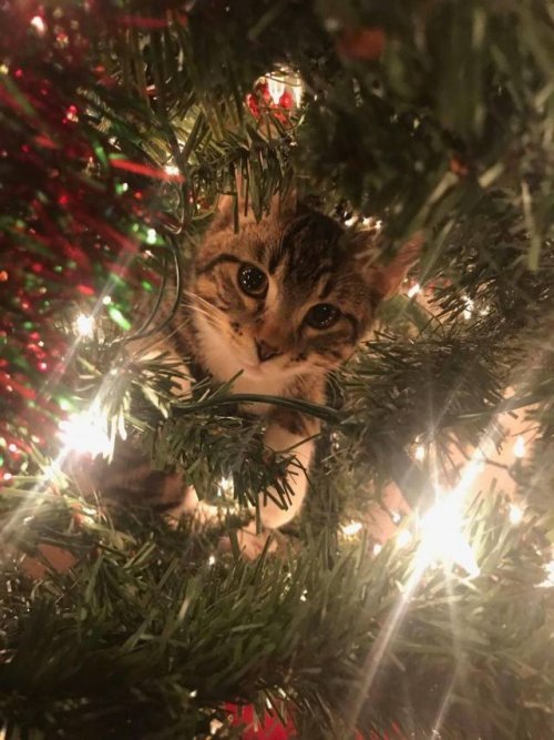 Прикольные и просто красивые картинки