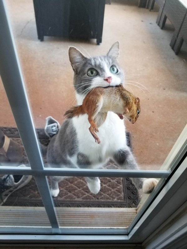 Прикольные и просто красивые картинки