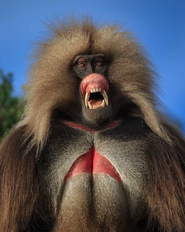 Прикольные и просто красивые картинки