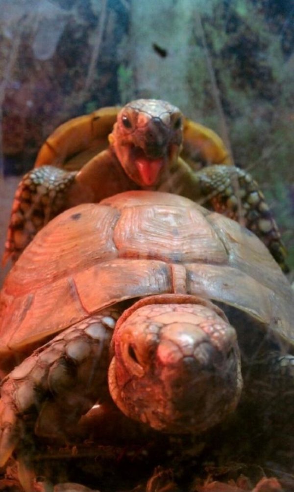 Прикольные и просто красивые картинки