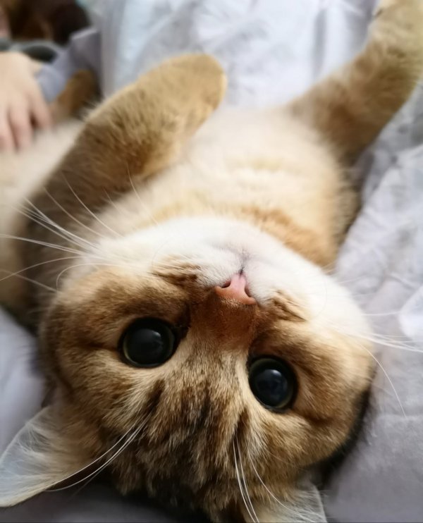 Прикольные и просто красивые картинки