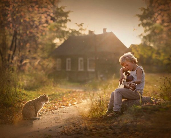 Прикольные и просто красивые картинки