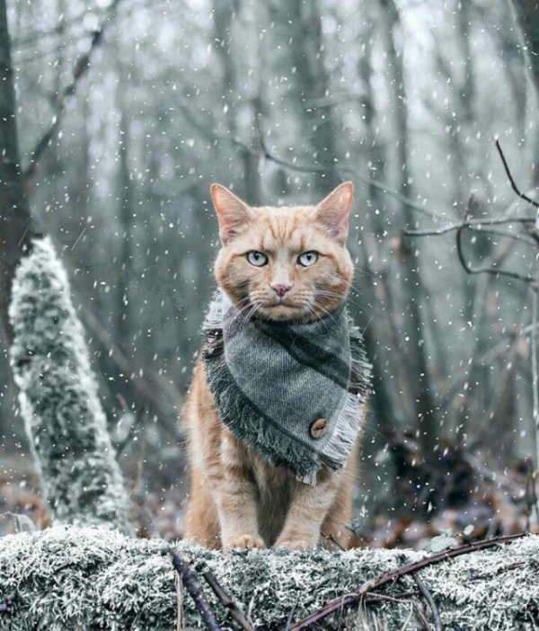 Прикольные и просто красивые картинки