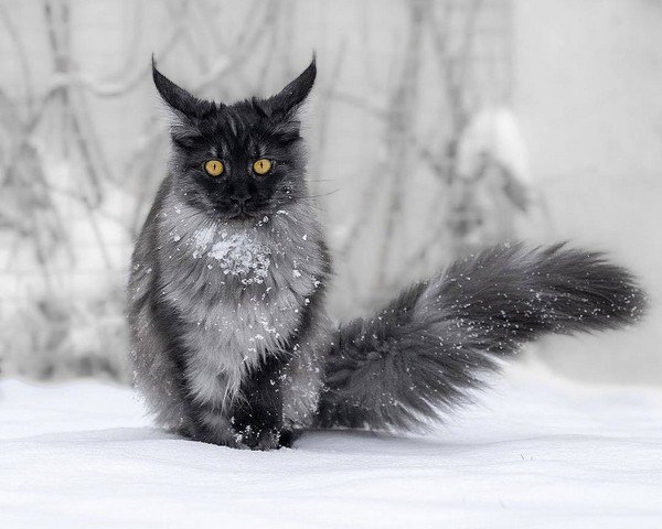 Прикольные и просто красивые картинки