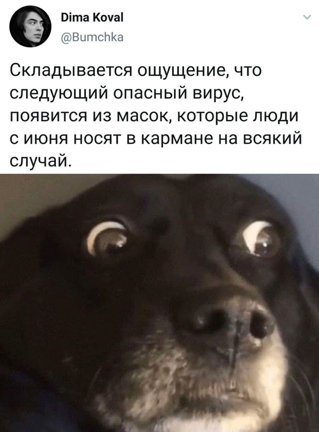 Маски в кармане
