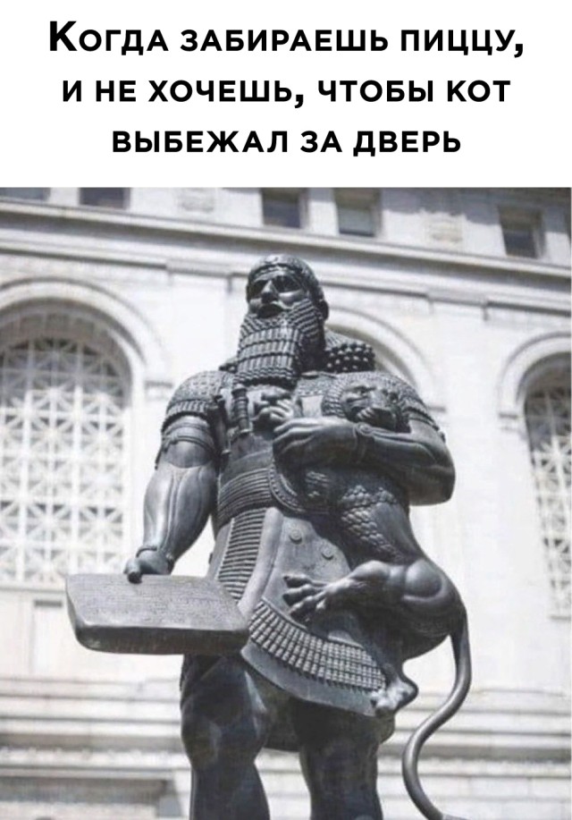 Заказчик пиццы и кот