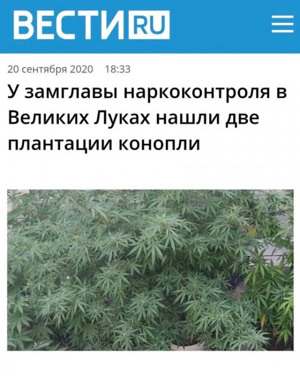 Странные ситуации, с которыми можно столкнуться только в России