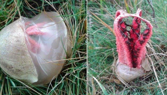 17 потрясающих фотографий, от которых становится не по себе 17 потрясающих фотографий, от которых становится не по себе